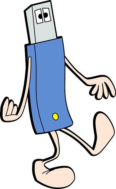 Usb 棒 腿 步行 - 免费矢量图形