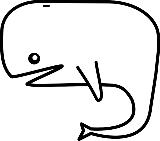 鲸 蓝鲸 动物 - 免费矢量图形