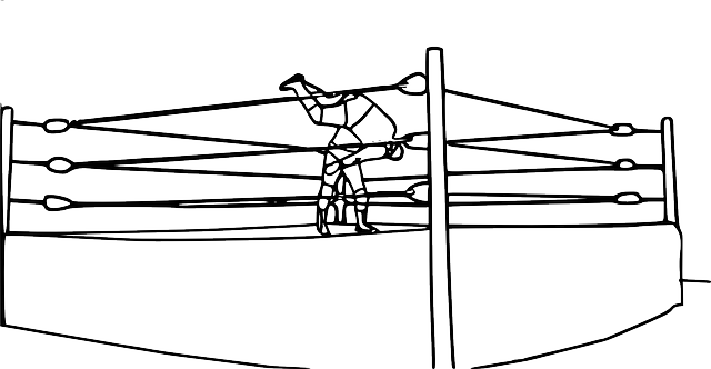 摔角 戒指 摔跤手 - 免费矢量图形