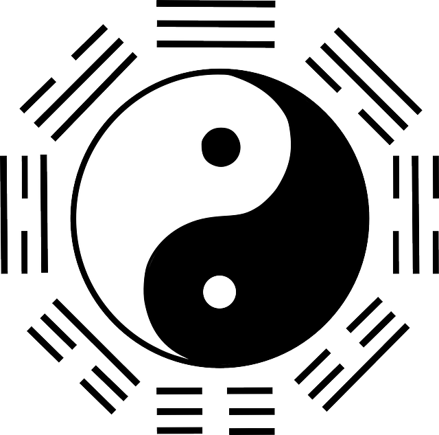 阴和阳 中国 道 - 免费矢量图形