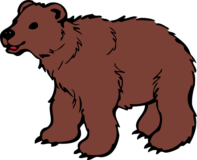 动物 熊 棕色 - 免费矢量图形
