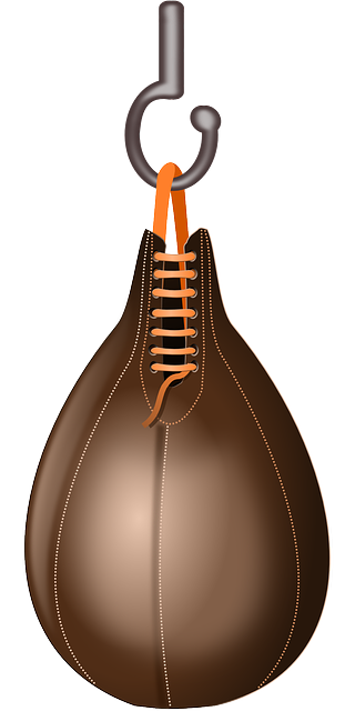 拳击 搏击 拳头 - 免费矢量图形