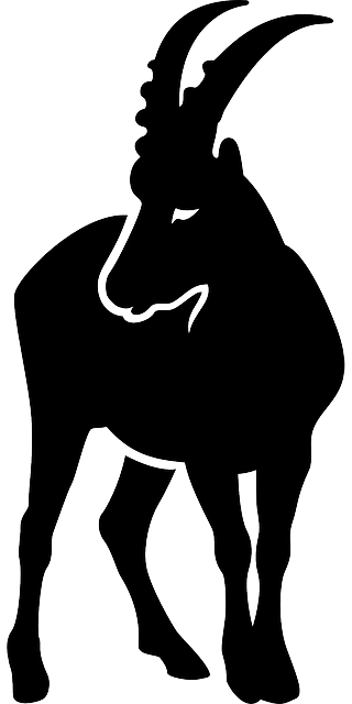 摩羯座 动物 Ibex - 免费矢量图形