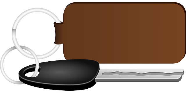 车钥匙 钥匙 点火钥匙 - 免费矢量图形