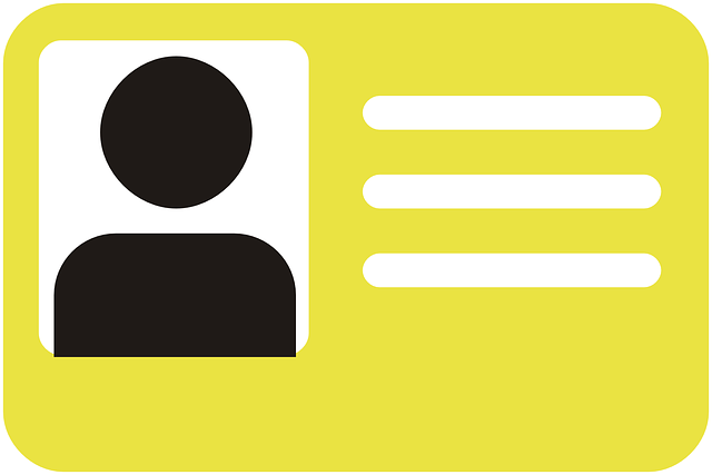 卡片 鉴别 身份证 Id - 免费矢量图形