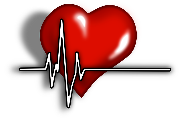 心脏 脉冲 收缩 - 免费矢量图形
