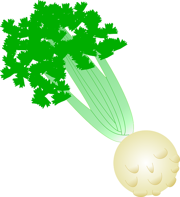 芹菜 蔬菜 绿色 - 免费矢量图形