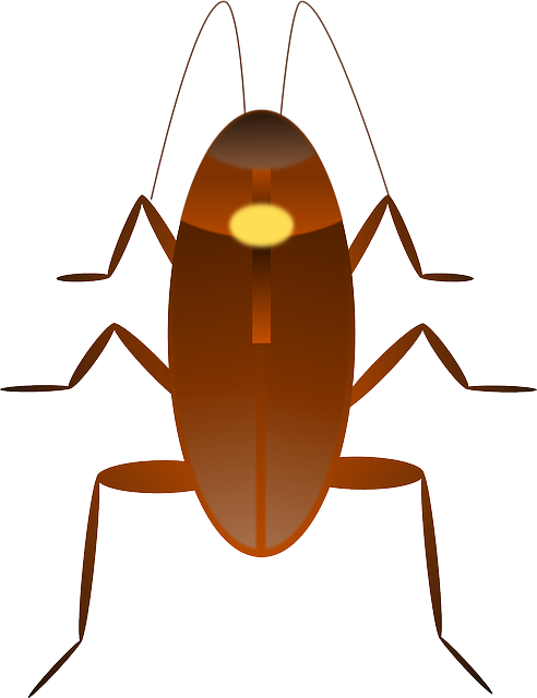 蟑螂 昆虫 丑陋的 - 免费矢量图形