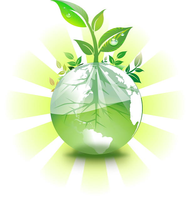 地球 植物 生态 - 免费矢量图形