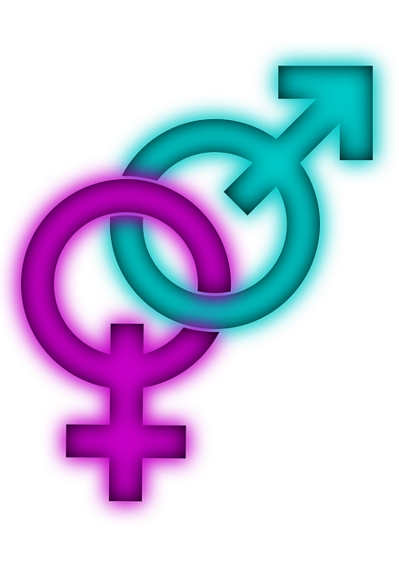 女性 男性 相通的 - 免费矢量图形