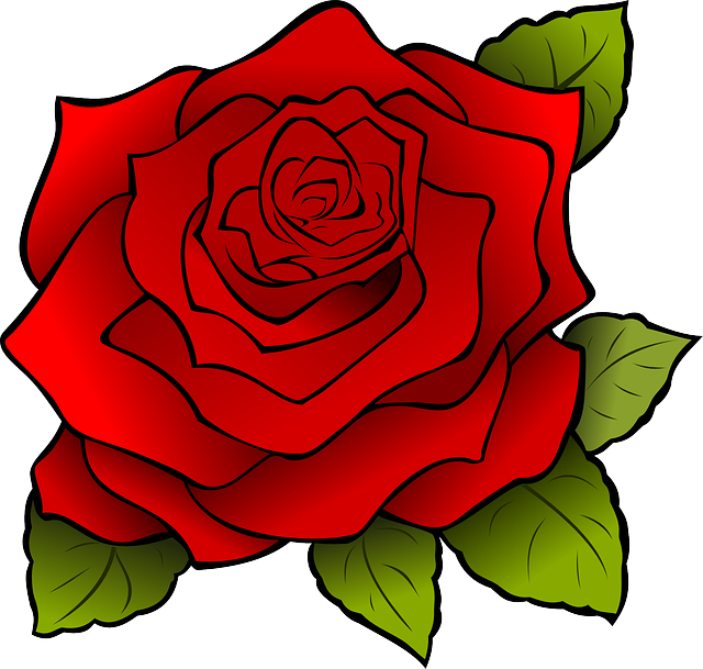 花 玫瑰 植物 - 免费矢量图形