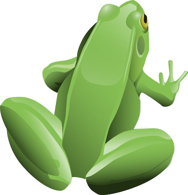 青蛙 两栖类 动物 - 免费矢量图形