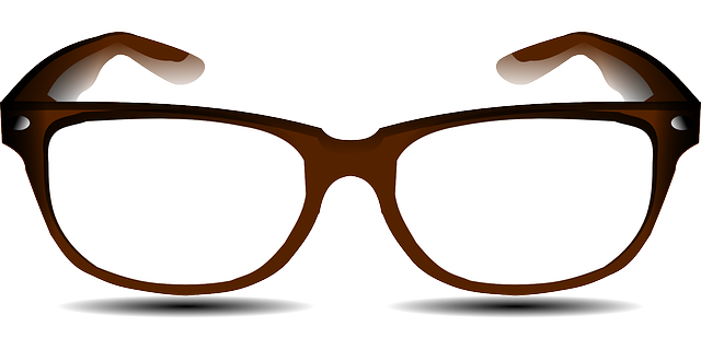 眼镜 眼睛 目睹 - 免费矢量图形