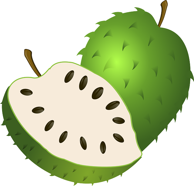 Guanabana Soursop 水果 - 免费矢量图形