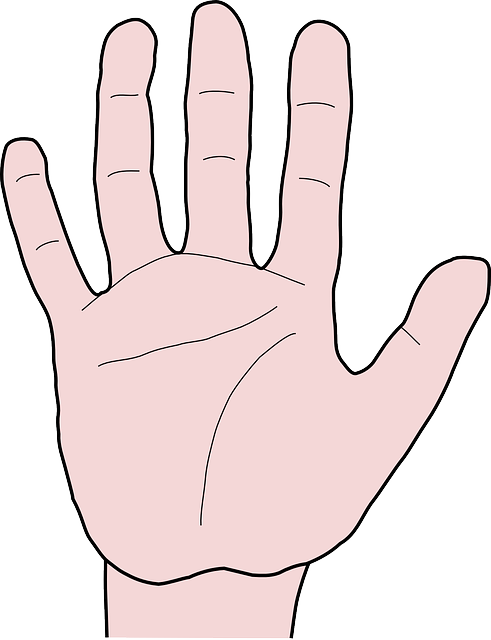 手 手指 拇指 - 免费矢量图形
