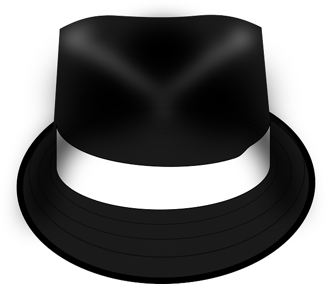 帽子 毡帽 宽边帽 - 免费矢量图形