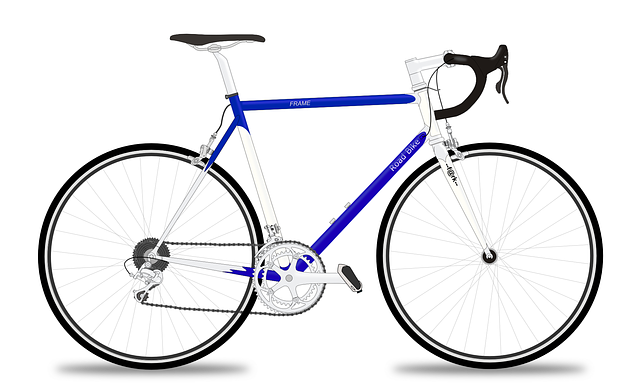 赛车自行车 赛车手 自行车 - 免费矢量图形