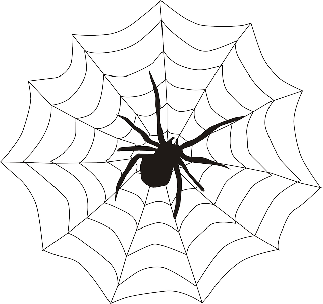 蜘蛛 蜘蛛侠 蜘蛛网 - 免费矢量图形