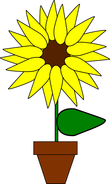 向日葵 盆花 花 - 免费矢量图形