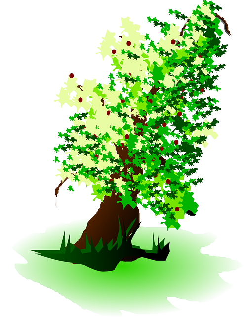 树 Grenn 水果 - 免费矢量图形