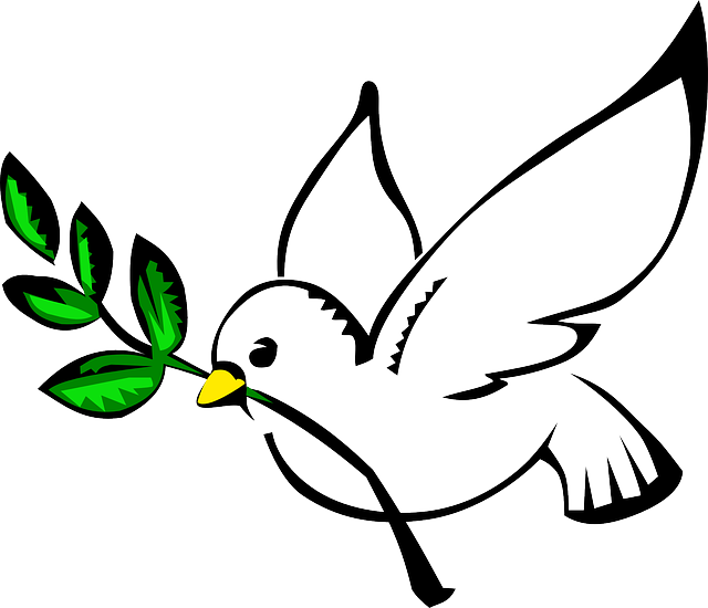 白鸽 橄榄枝 鸽子 - 免费矢量图形