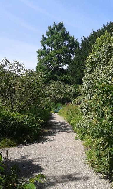 黑森 Weinheim 公园 - 上的免费照片