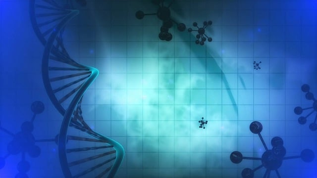微生物学 细胞 基因 - 上的免费图片