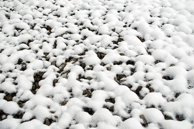 雪 下雪的 季节 - 上的免费照片