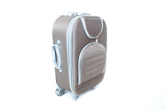 旅行 游客 盒 - 上的免费照片