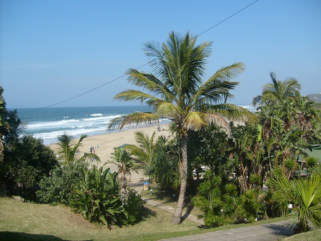 玛丽娜海滩 Kzn 南海岸 - 上的免费照片