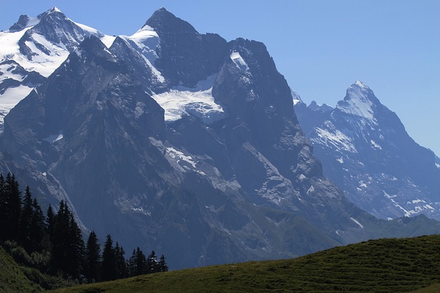 伯尔尼 伯尔尼高地 阿尔卑斯山 - 上的免费照片
