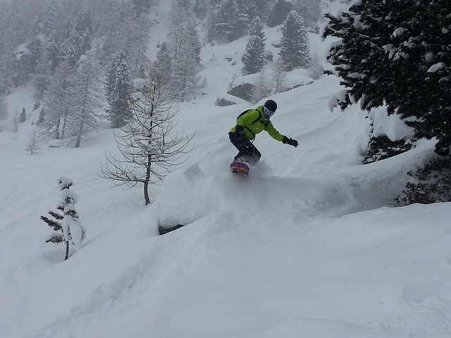 滑雪板 自由式滑雪 Freeriding - 上的免费照片