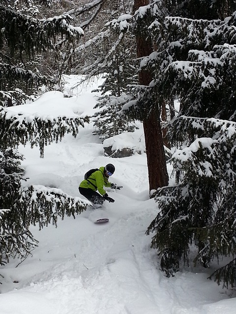 滑雪板 自由式滑雪 Freeriding - 上的免费照片