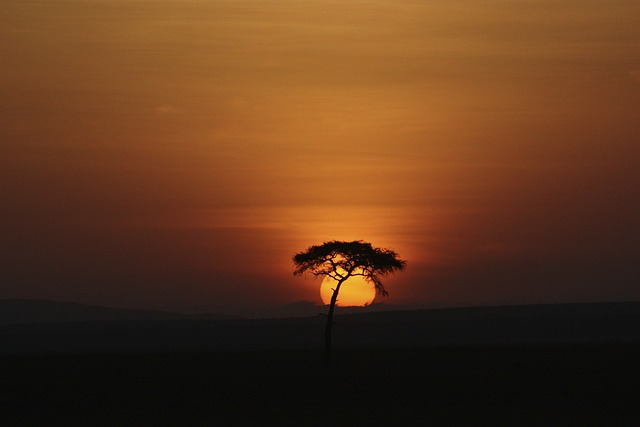 日落 风景 日出 - 上的免费照片
