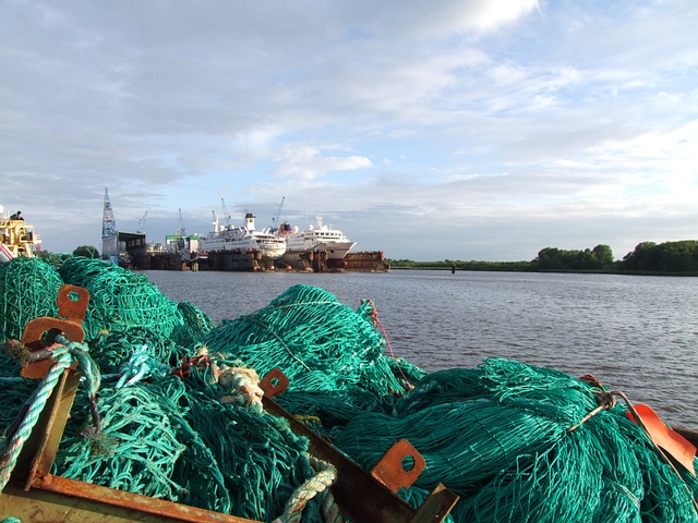 捕鱼网 老的 水 - 上的免费照片
