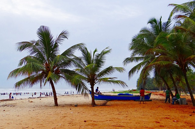 Malpe 海滩 阿拉伯海 棕榈树 - 上的免费照片