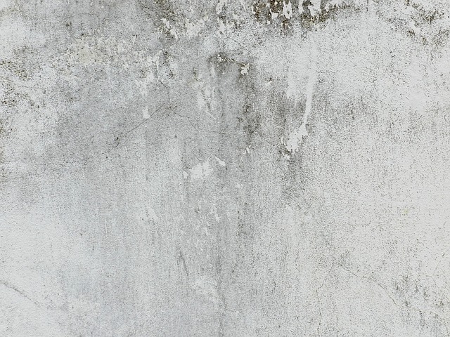 砂浆 墙 年迈的 - 上的免费照片