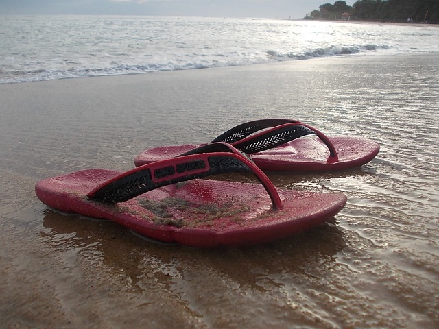 轨枕 海滩 海 - 上的免费照片