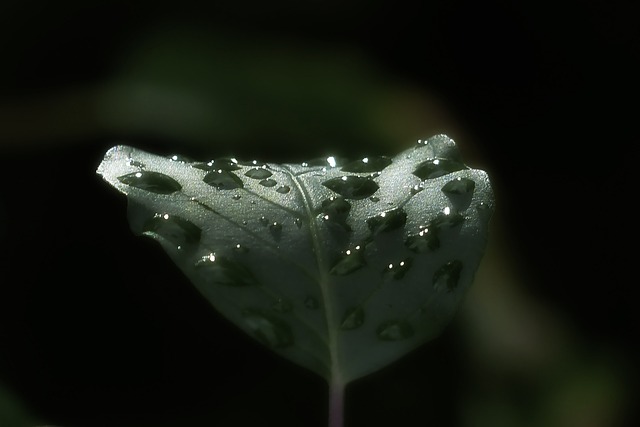 离开 清晨 雨后 - 上的免费照片