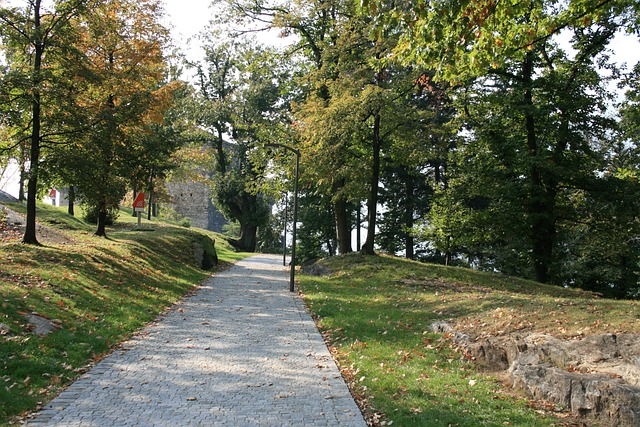 提契诺 贝林佐纳 小路 - 上的免费照片