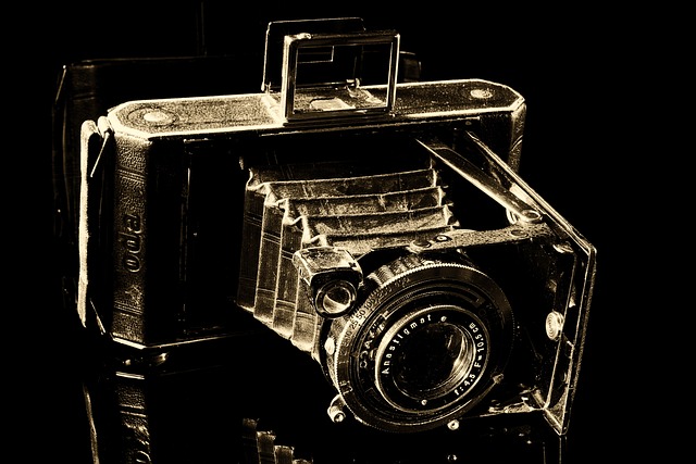 相机 Balgenkamera 老的 - 上的免费照片