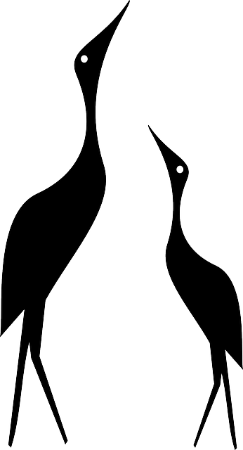 轮廓 鸟类 黑色的 - 免费矢量图形