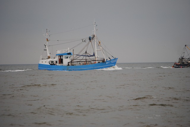 渔刀 Norderney 钓鱼 - 上的免费照片