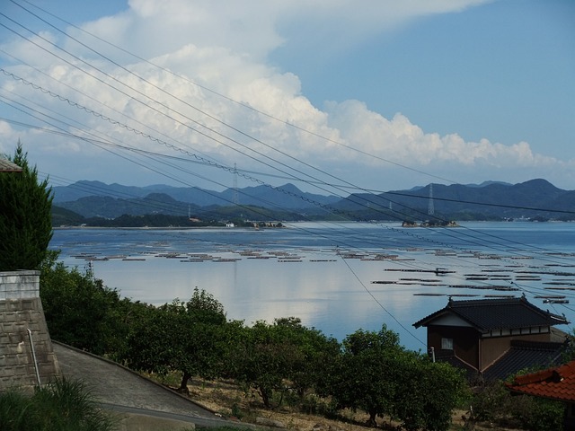 海 索大岛 - 上的免费照片