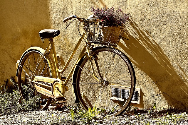 自行车 轮子 自行车车轮 - 上的免费照片
