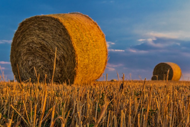 大包 稻草 农业 - 上的免费照片