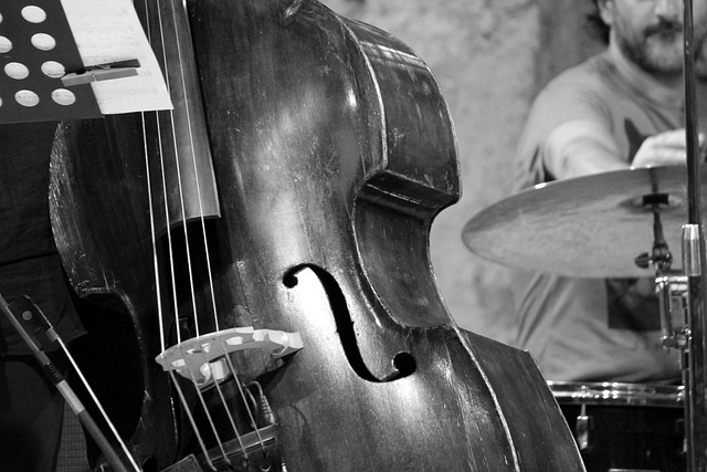 爵士乐 音乐会 低音提琴 - 上的免费照片