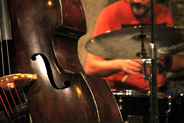 爵士乐 低音提琴 音乐 - 上的免费照片