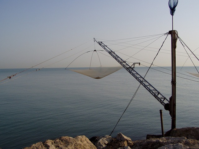 捕鱼 天枰座 阴影 - 上的免费照片