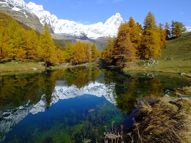 萨拉戈蓝带 瓦莱达奥斯塔 奥斯塔山谷 - 上的免费照片